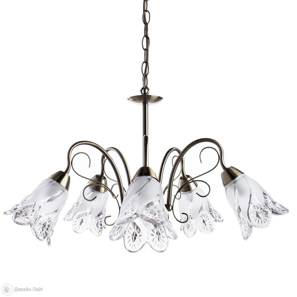 Подвесная люстра ARTE Lamp 6273 A6273LM-5AB