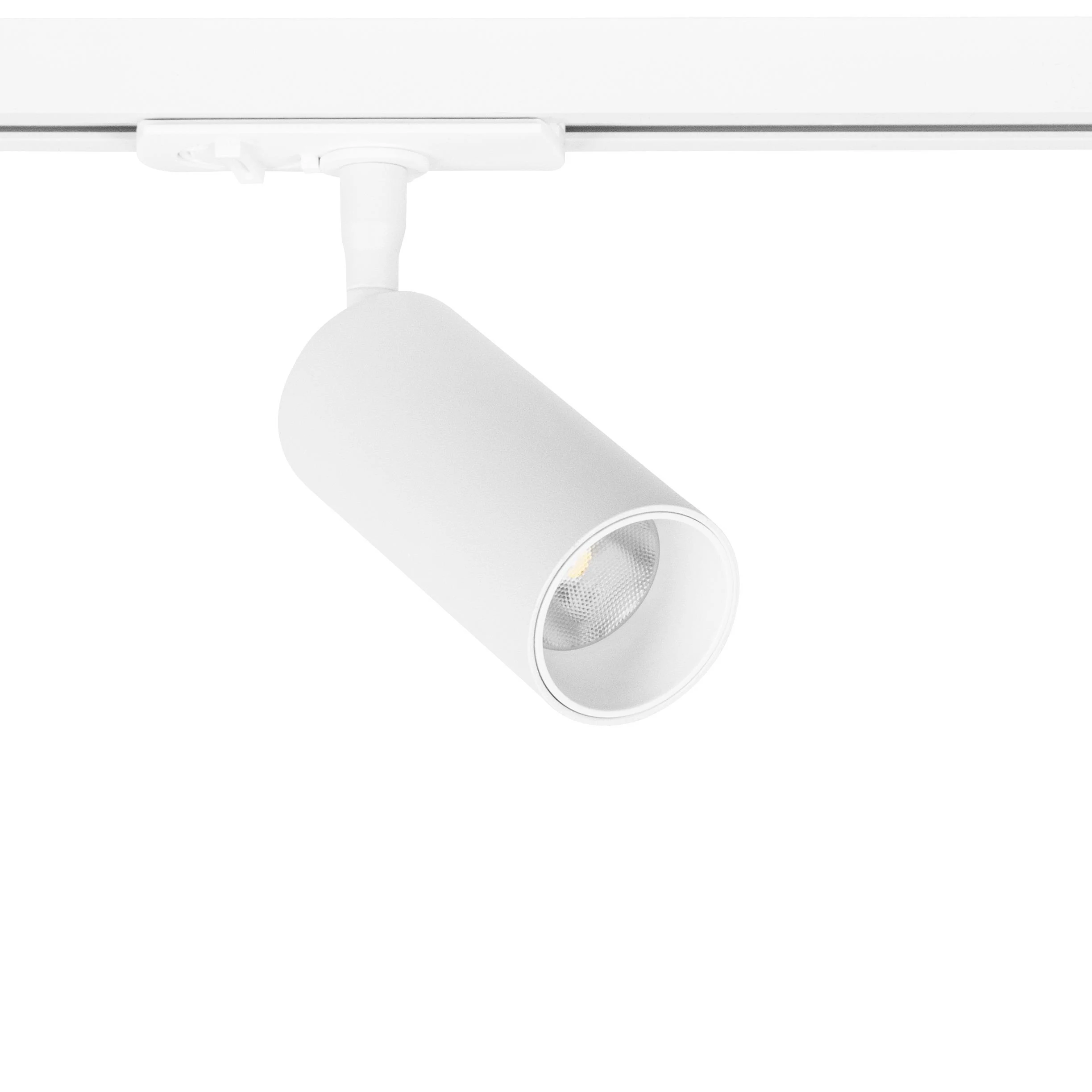 Светильник на шине ARTE Lamp AERO A1335PL-1WH
