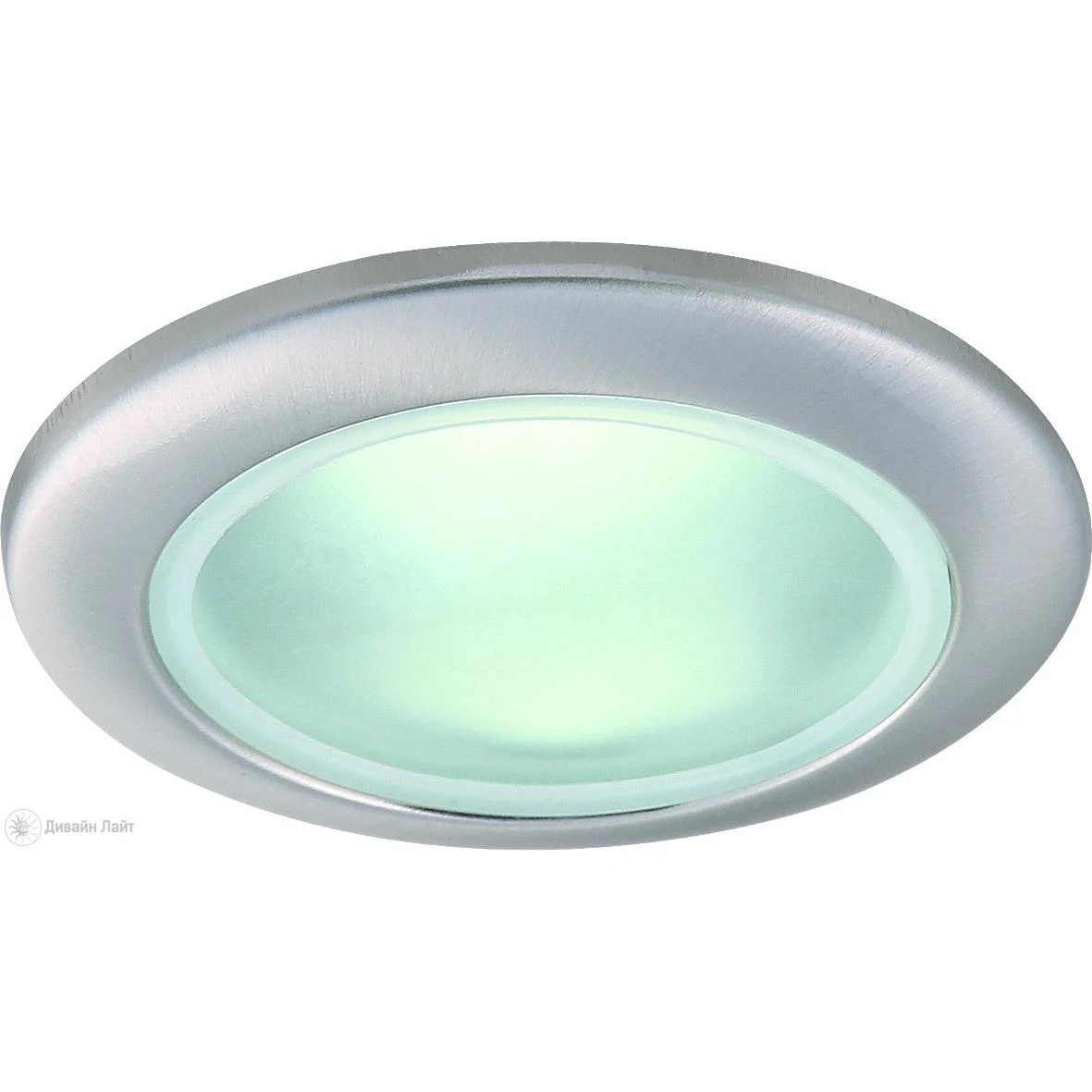 Влагозащищенный светильник ARTE Lamp AQUA A2024PL-1SS