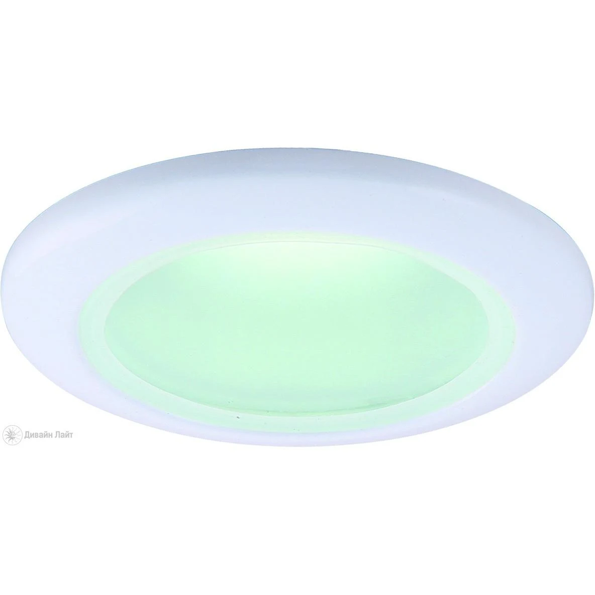 Влагозащищенный светильник ARTE Lamp AQUA A2024PL-1WH