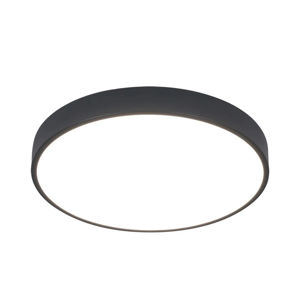 Накладной светильник ARTE Lamp ARENA A2661PL-1BK