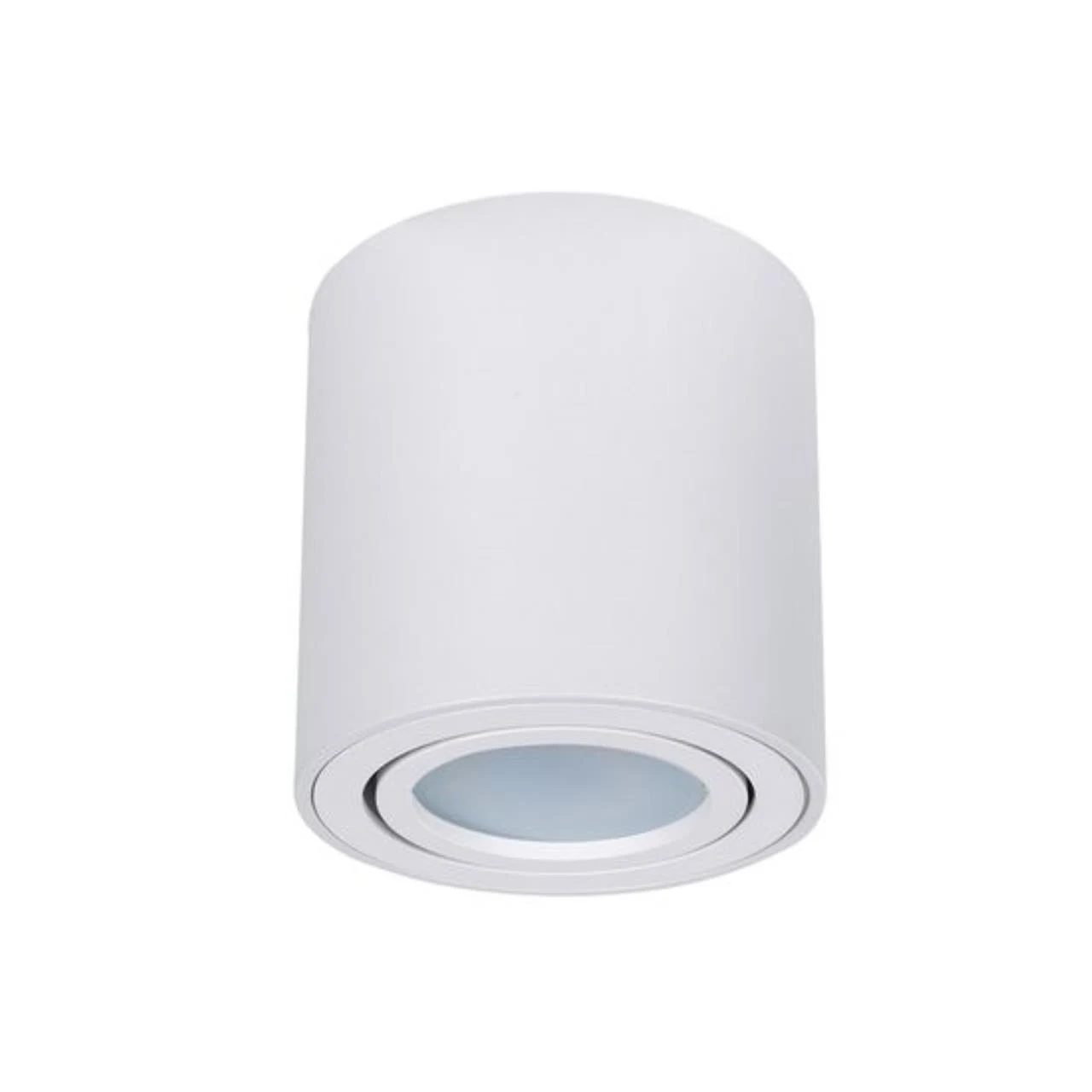 Накладной светильник ARTE Lamp BEID A1513PL-1WH