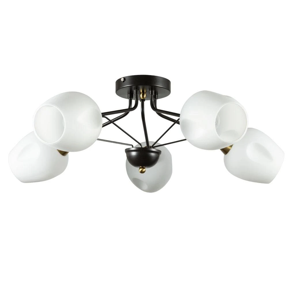 Накладная люстра ARTE Lamp Brighton A2706PL-5CK