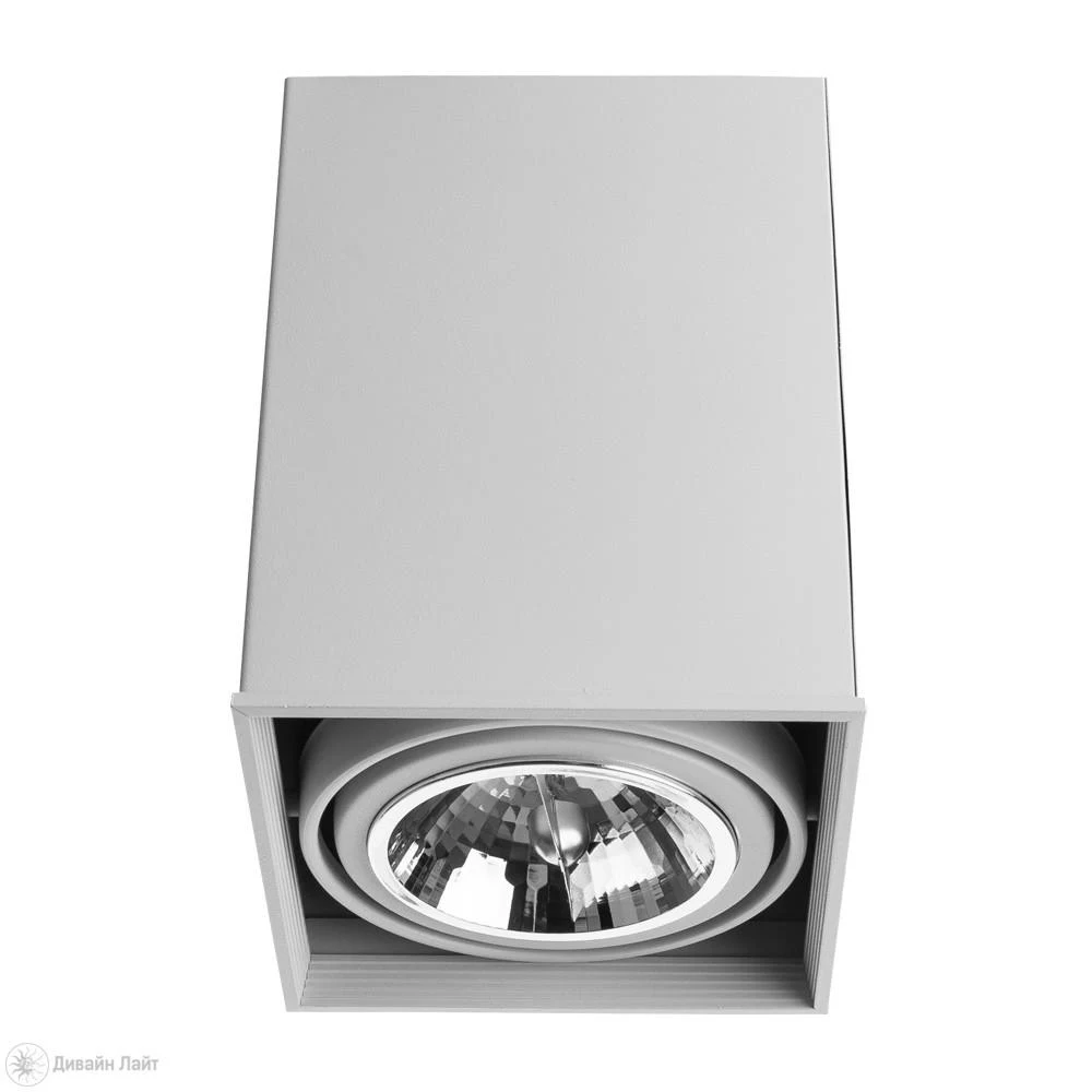 Накладной светильник ARTE Lamp Cardani A5936PL-1WH