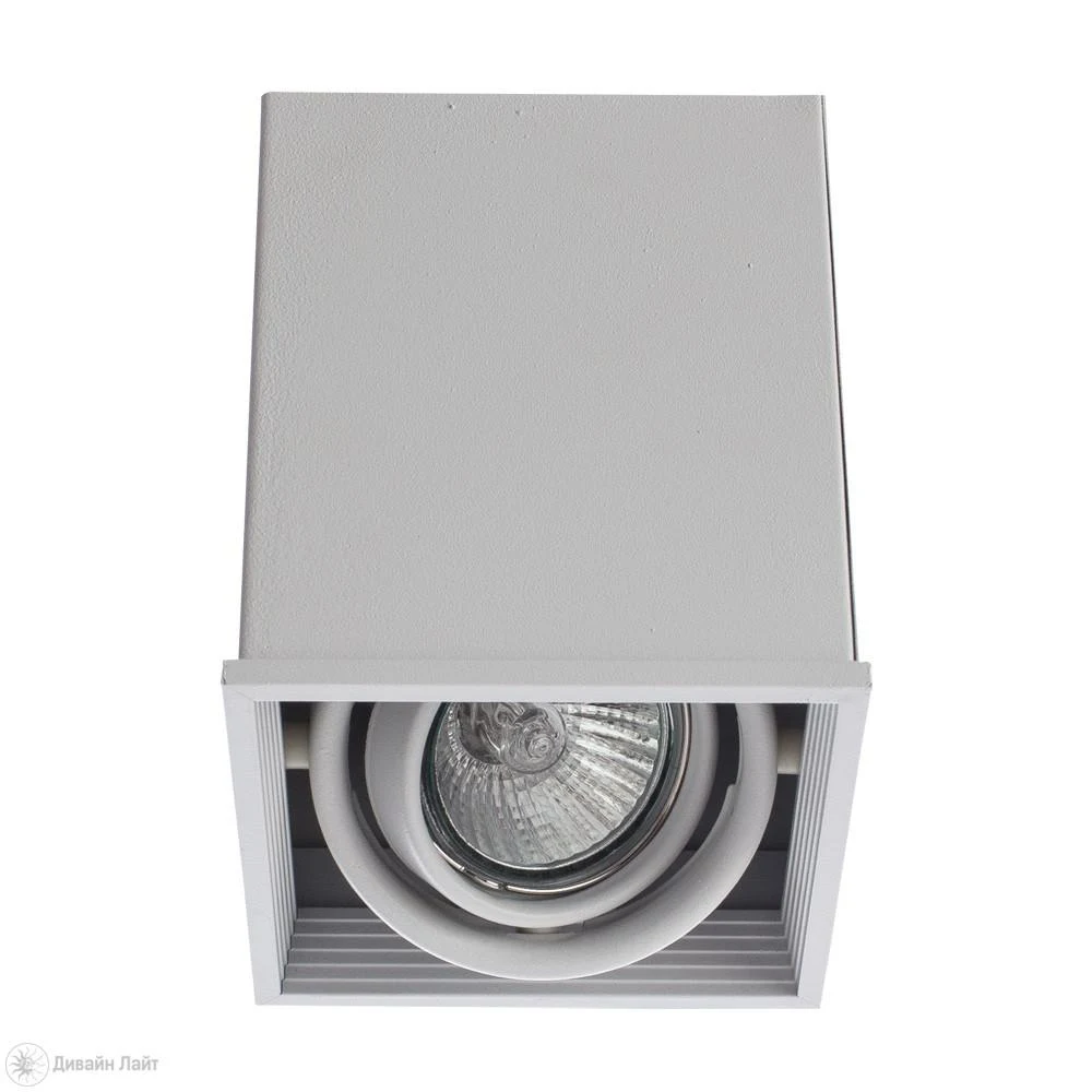 Накладной светильник ARTE Lamp Cardani A5942PL-1WH