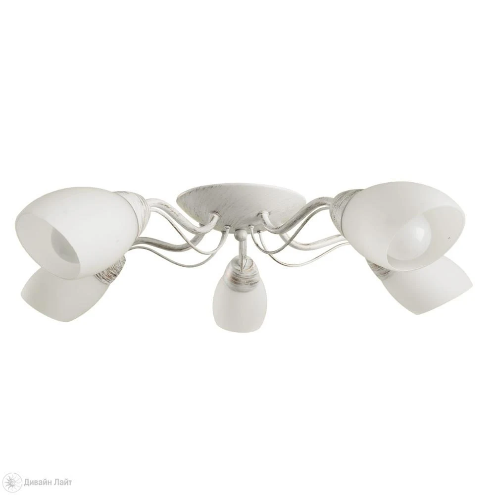 Накладная люстра ARTE Lamp CARLO A8105PL-5WG