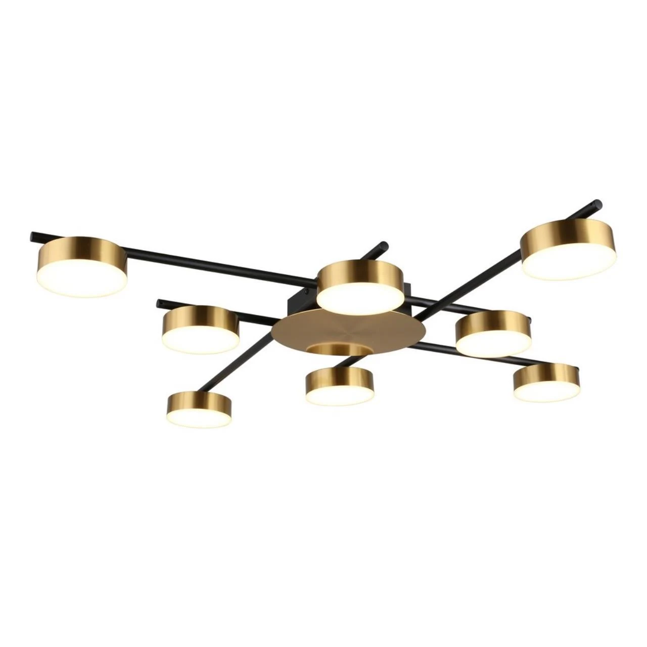 Накладная люстра APLOYT Delayn APL.042.07.56