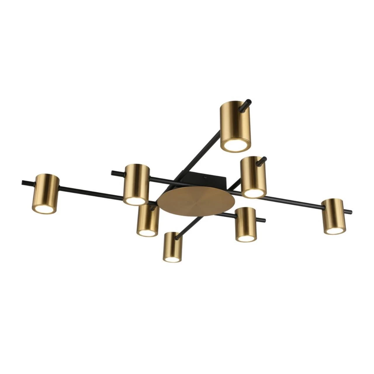 Накладная люстра APLOYT Elwisia APL.633.07.08