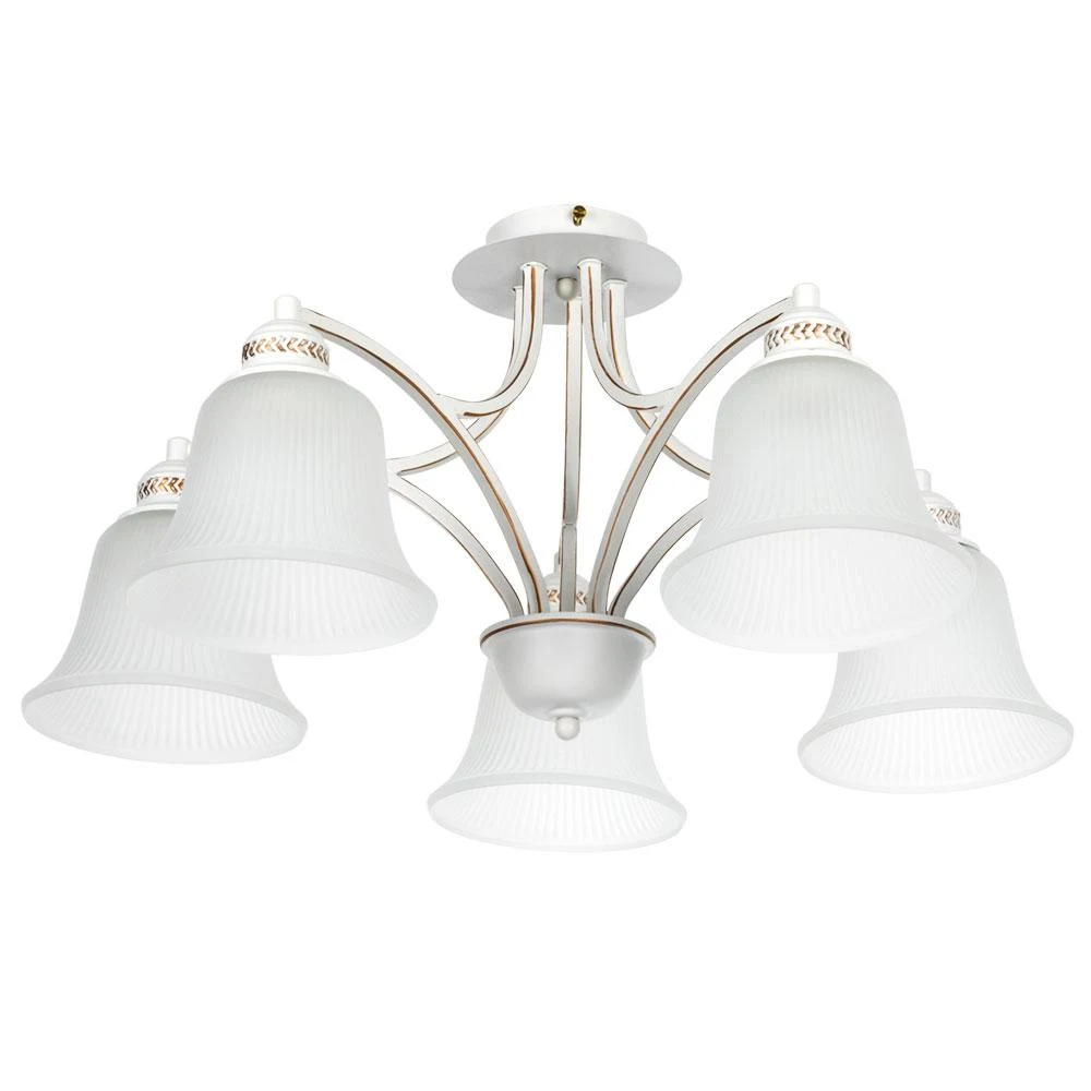 Накладная люстра ARTE Lamp EMMA A2713PL-5WG
