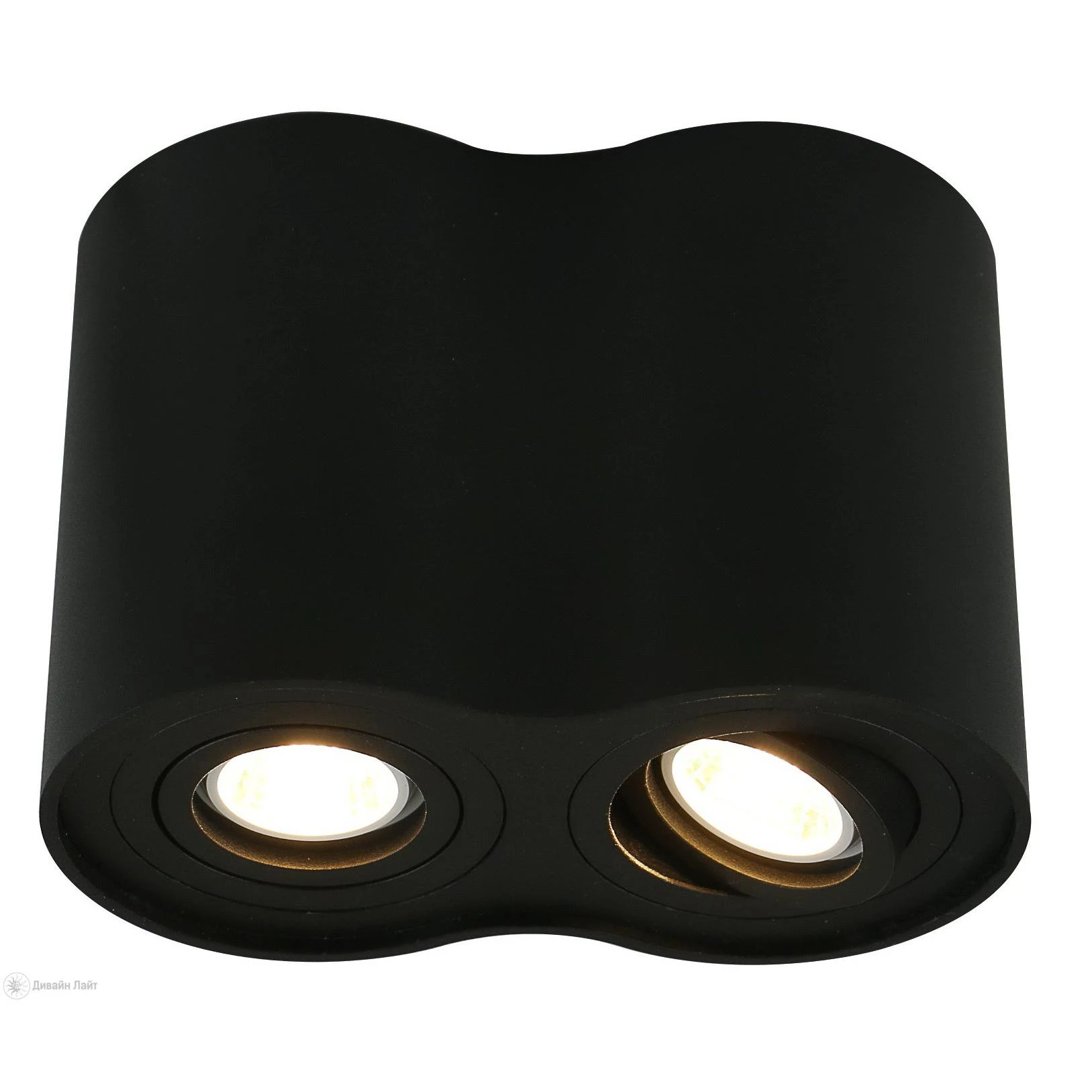 Накладной светильник ARTE Lamp FALCON A5644PL-2BK