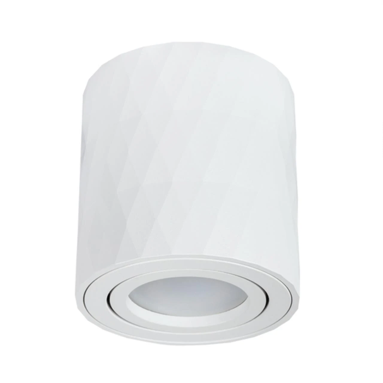 Накладной светильник ARTE Lamp FANG A5559PL-1WH