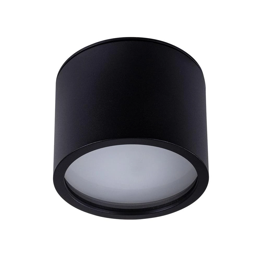 Влагозащищенный светильник ARTE Lamp INTERCRUS A5543PL-1BK