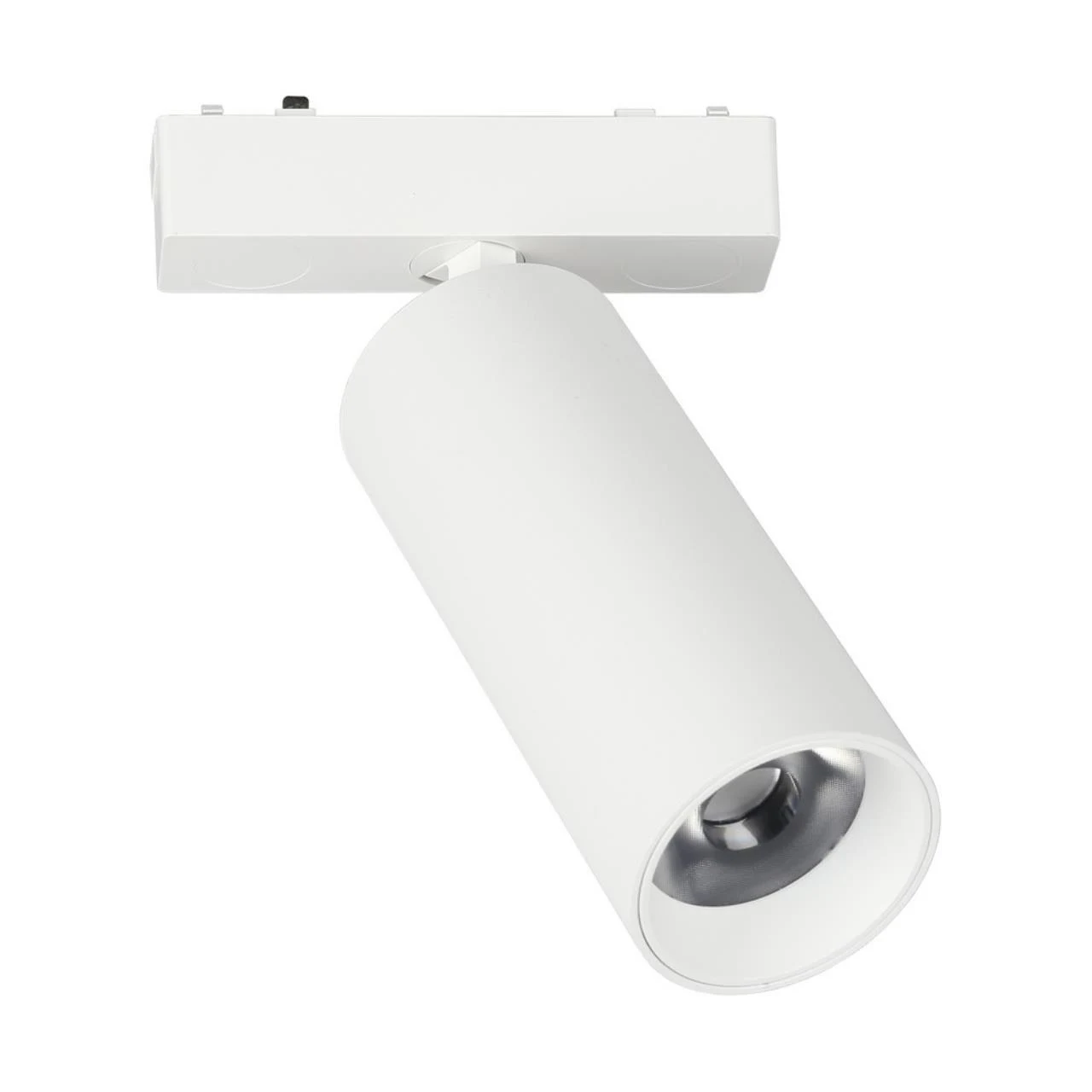 Светильник на шине APLOYT Magnetic track 48 APL.0114.10.18