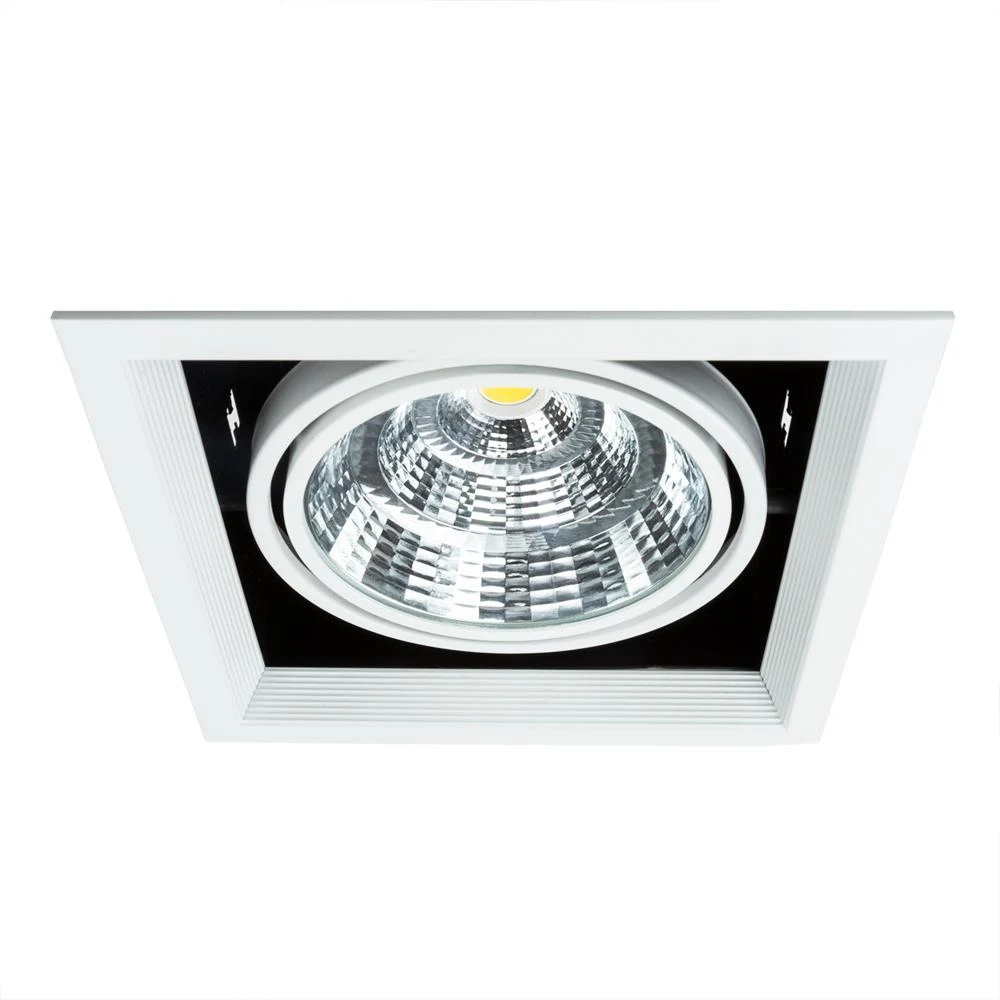 Встраиваемый светильник ARTE Lamp Merga A8450PL-1WH