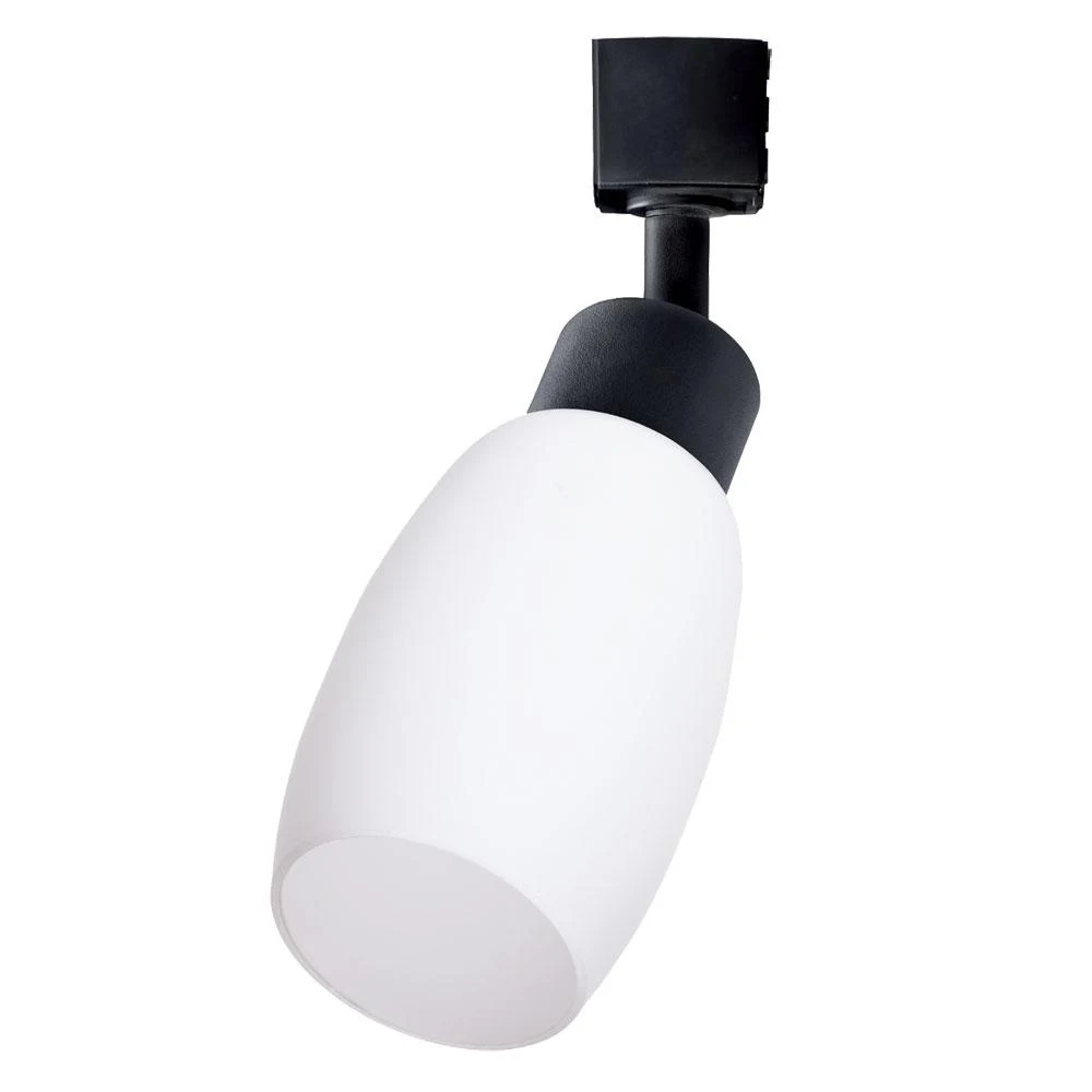 Светильник на шине ARTE Lamp MIIA A3055PL-1BK