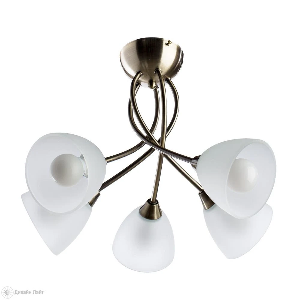Накладная люстра ARTE Lamp NIKKI A2576PL-5AB