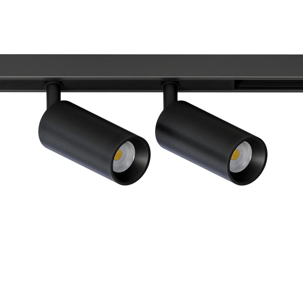 Светильник на шине ARTE Lamp OPTIMA A7280PL-2BK