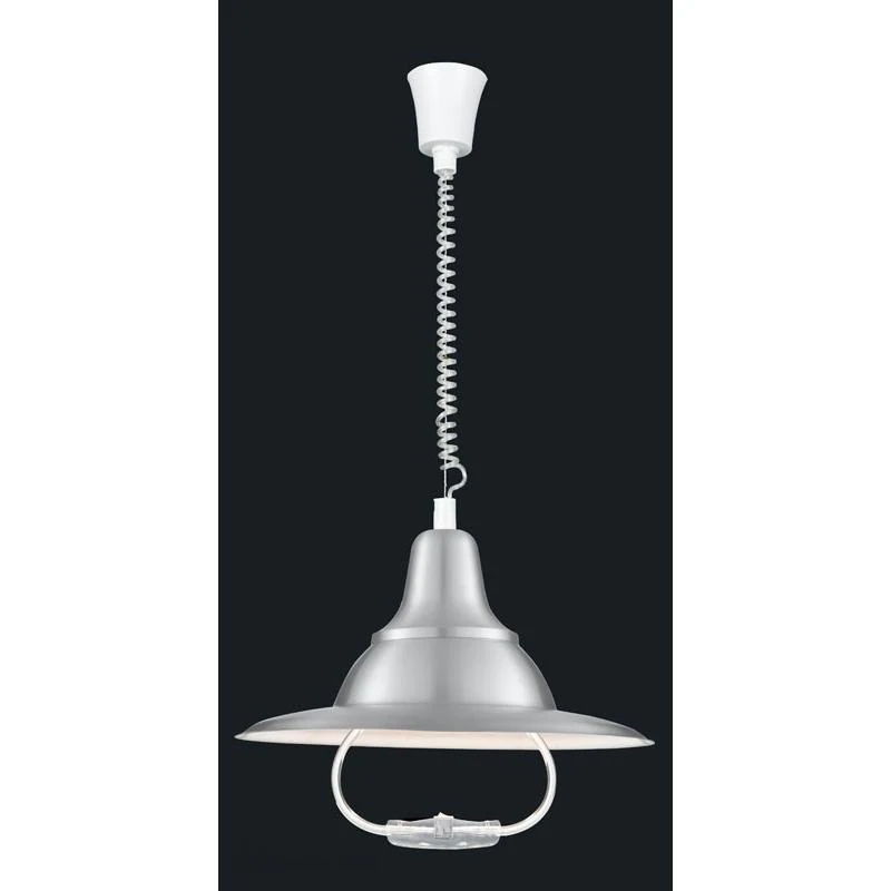 Подвесной светильник ARTE Lamp PENDANTS A3638SP-1SS