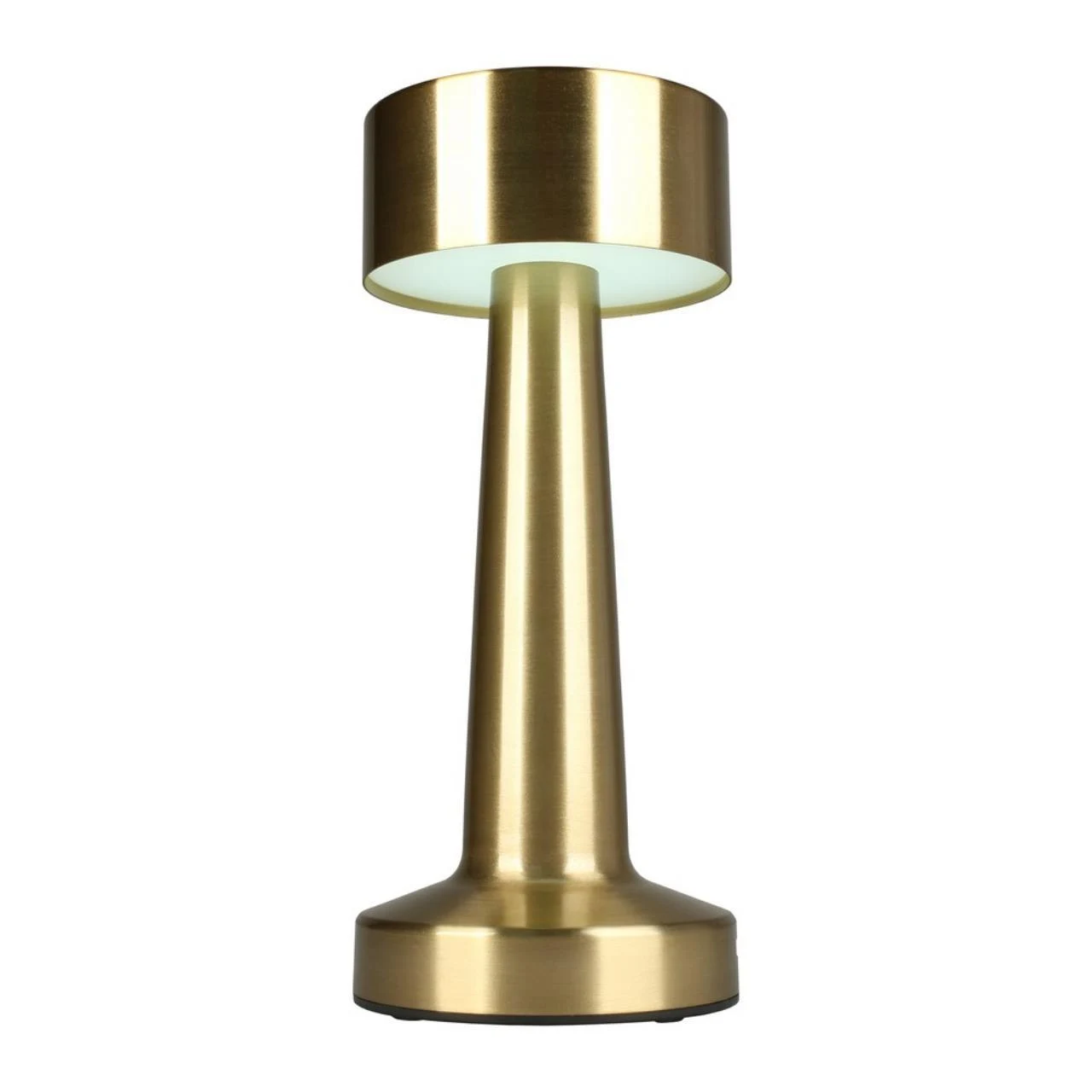 Настольная лампа APLOYT Perrayn APL.671.04.01