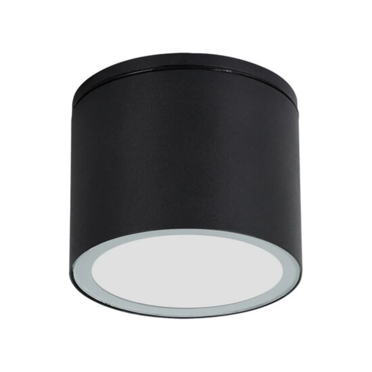 Накладной уличный светильник ARTE Lamp piautos A1913PF-1BK