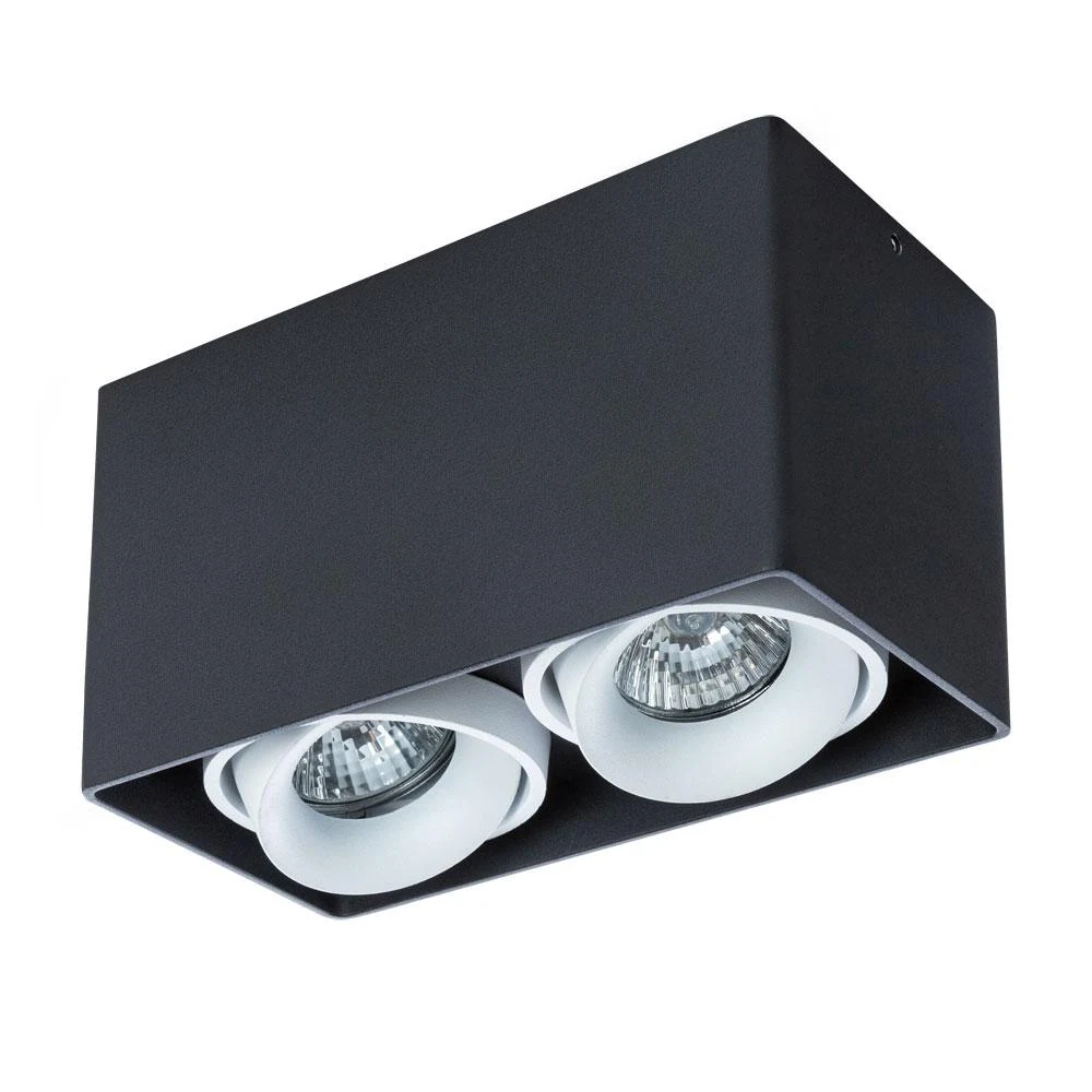 Накладной светильник ARTE Lamp PICTOR A5654PL-2BK