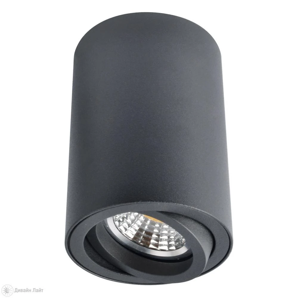 Накладной светильник ARTE Lamp SENTRY A1560PL-1BK