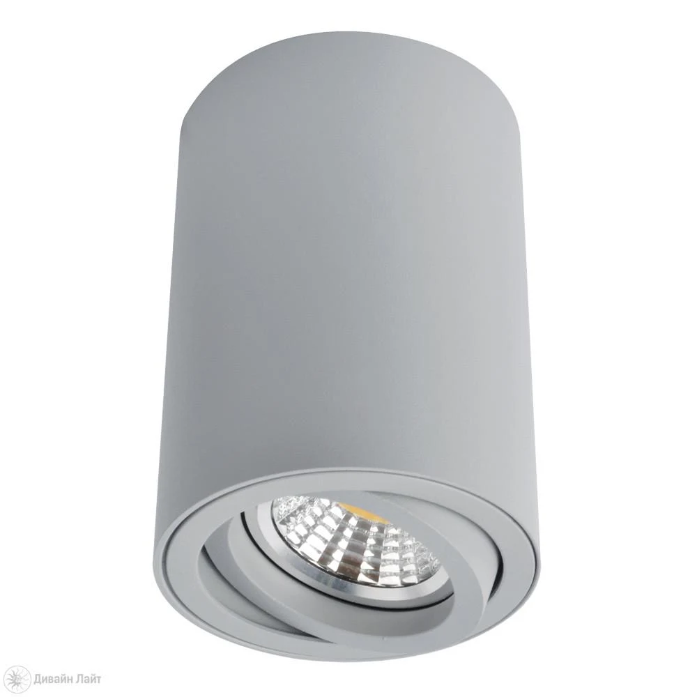 Накладной светильник ARTE Lamp SENTRY A1560PL-1GY