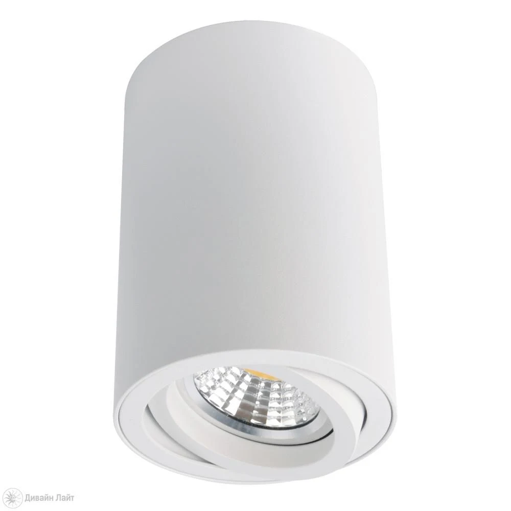 Накладной светильник ARTE Lamp SENTRY A1560PL-1WH