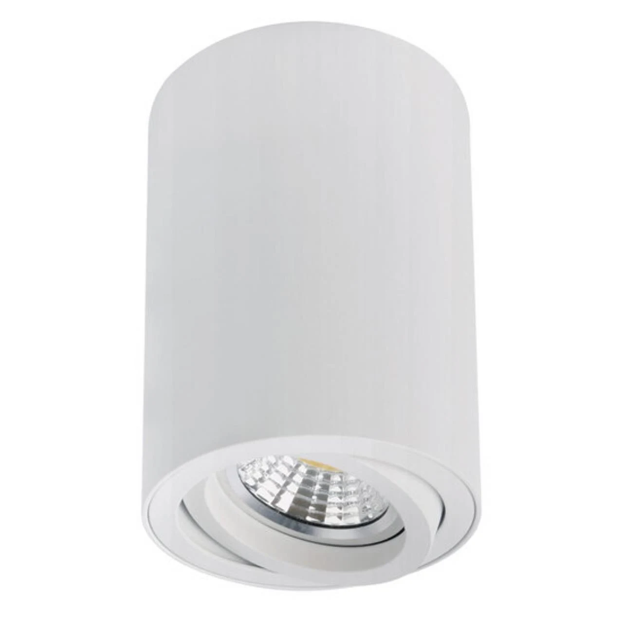 Накладной светильник ARTE Lamp SENTRY A1566PL-1WH