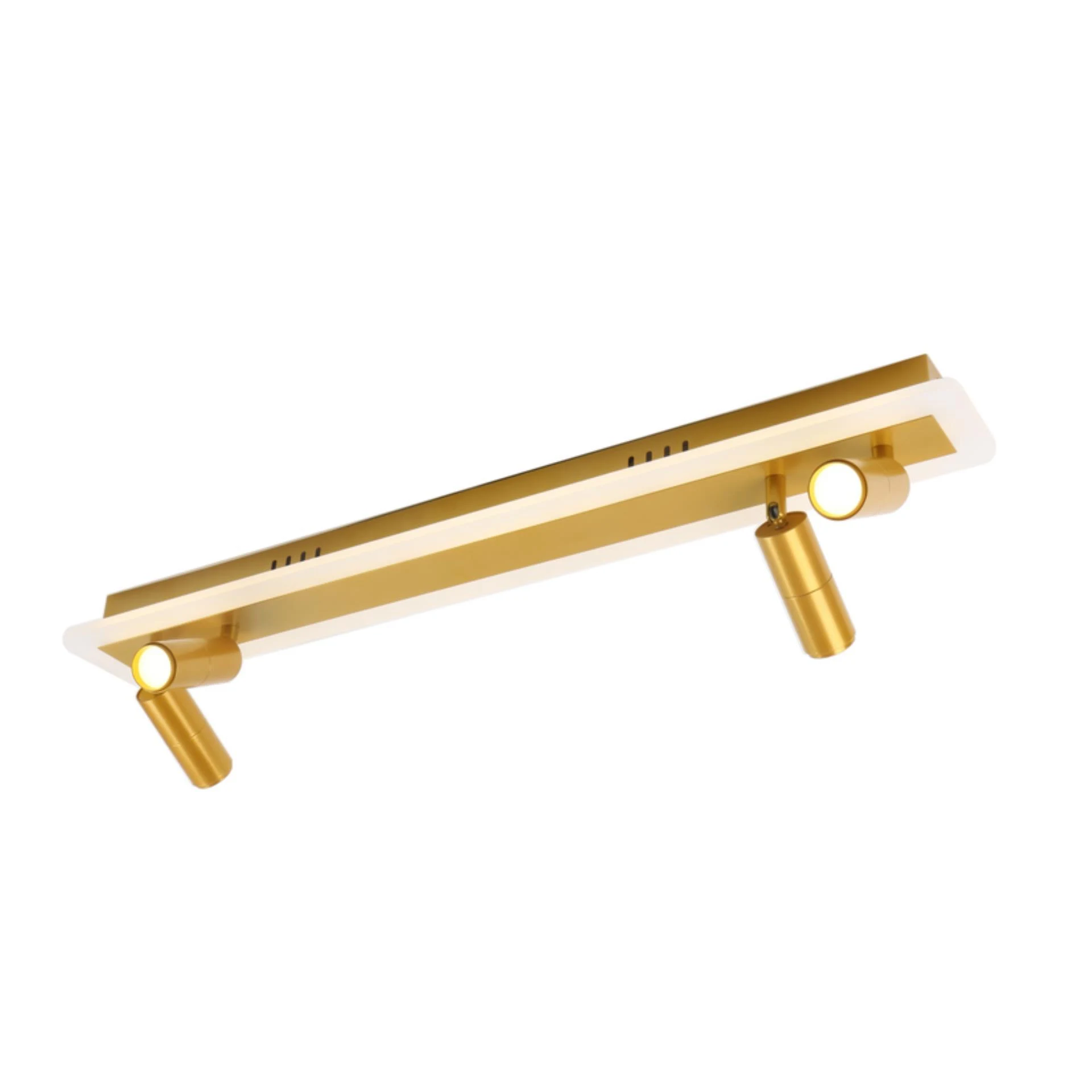 Накладной светильник ARTE Lamp TOMMY A2607PL-30GO