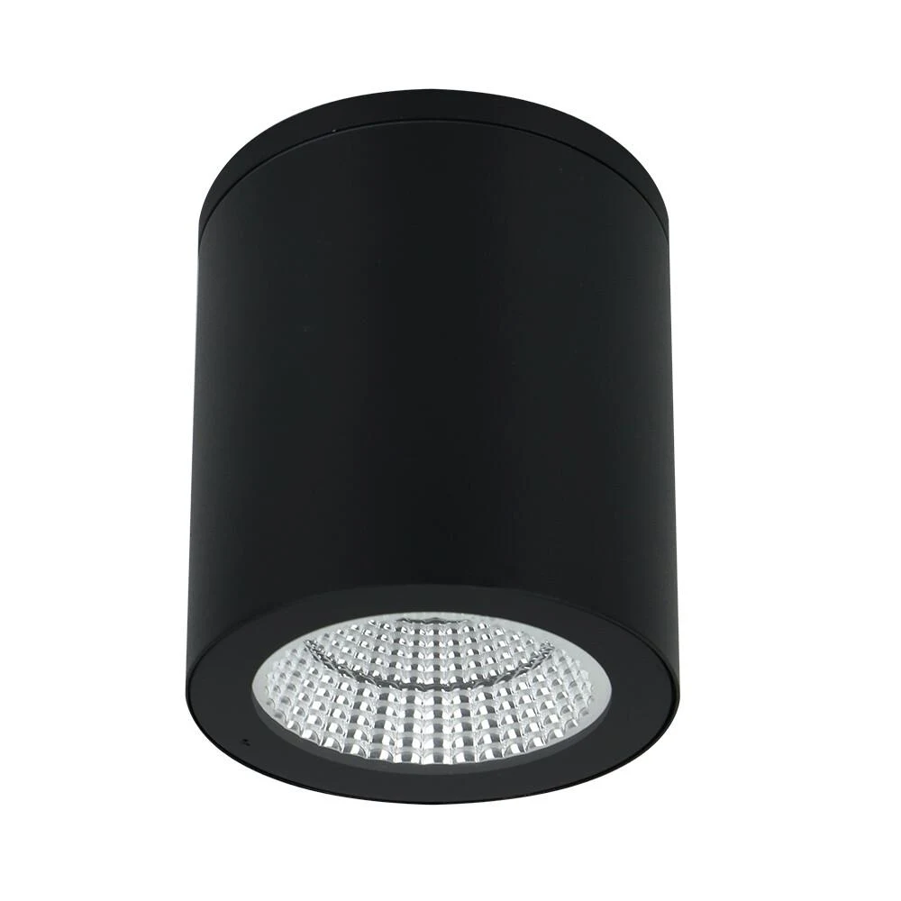 Накладной уличный светильник ARTE Lamp torcular A1313PF-1BK