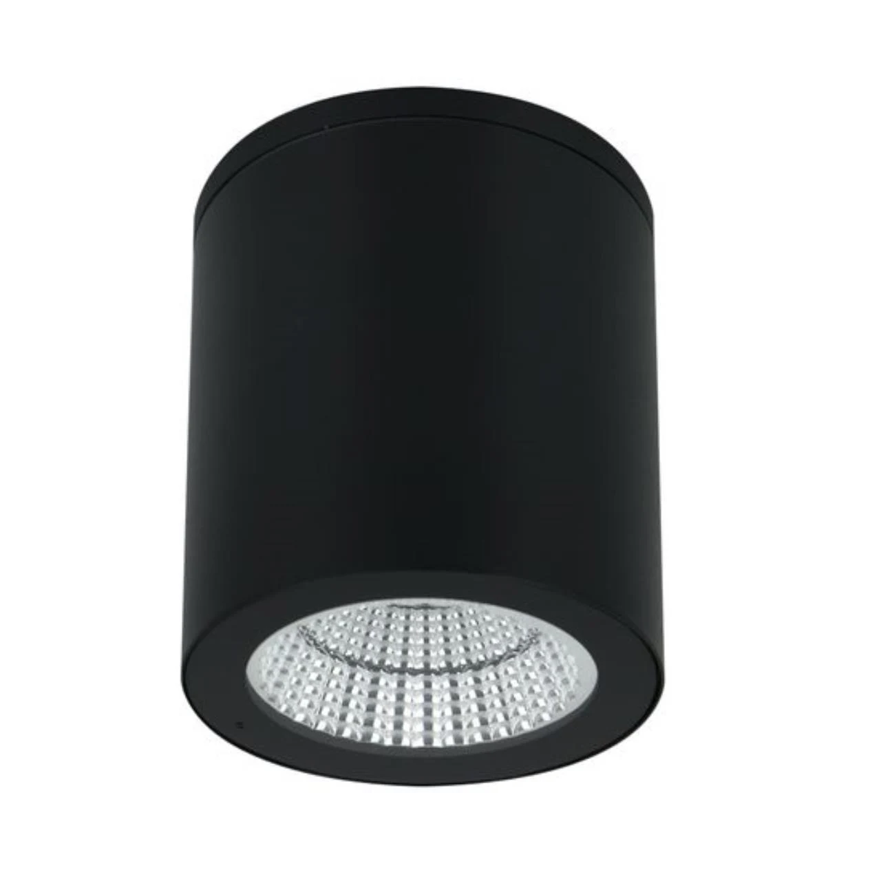 Накладной уличный светильник ARTE Lamp torcular A1813PF-1BK