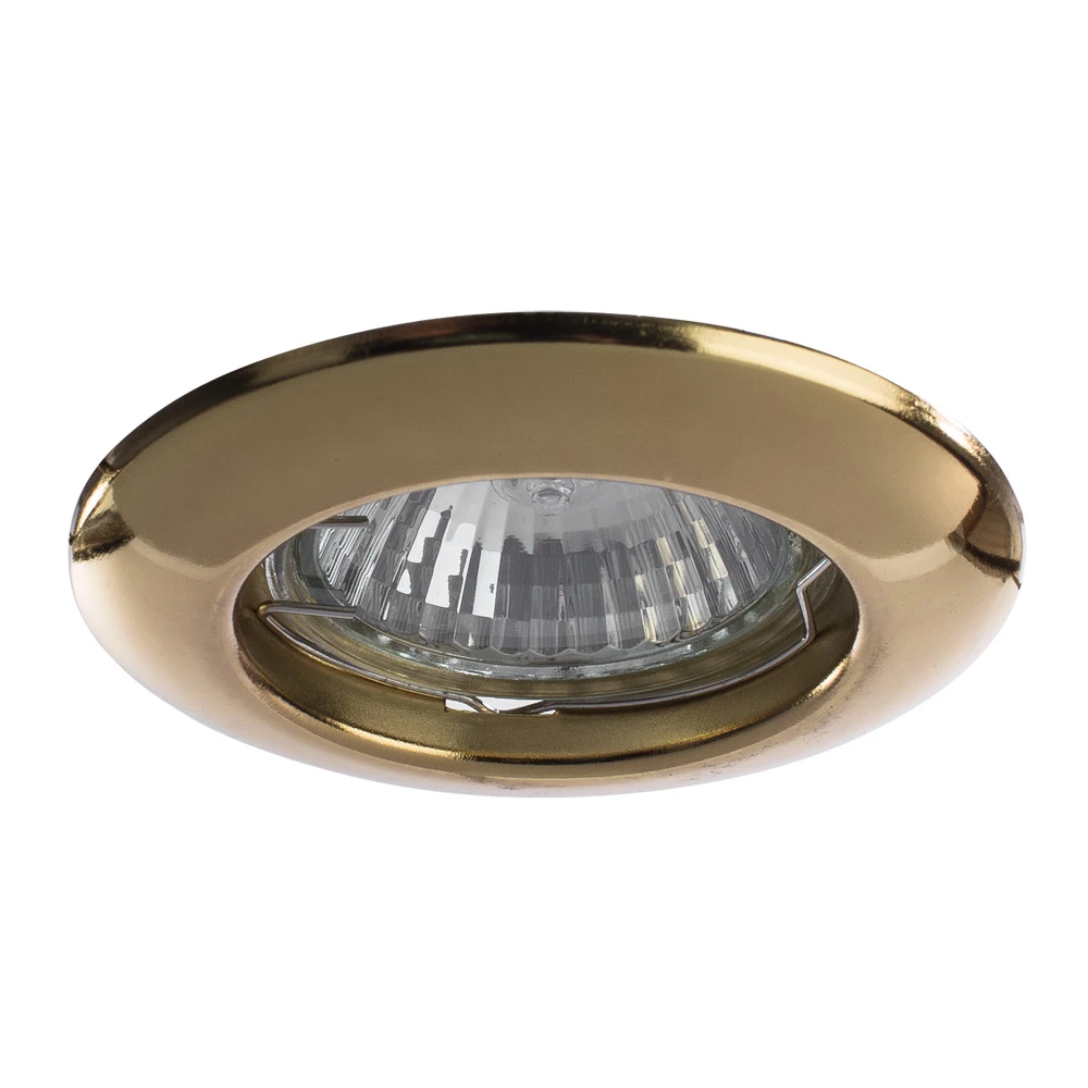 Точечный встраиваемый светильник Arte Lamp PRAKTISCH A1203PL-1GO