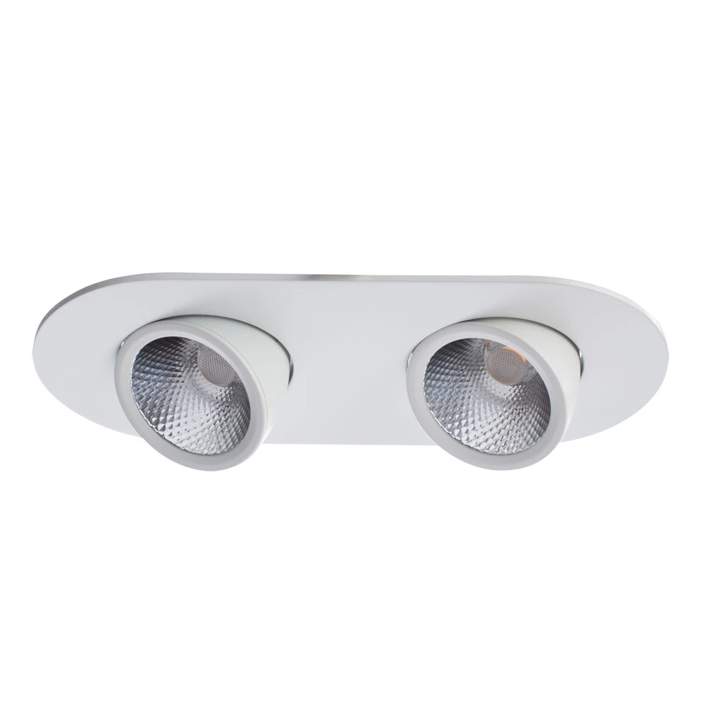 Точечный встраиваемый светильник Arte Lamp CARDANI A1212PL-2WH