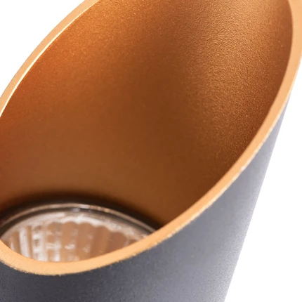 Точечный накладной светильник Arte Lamp PILON-GOLD A1536PL-1BK