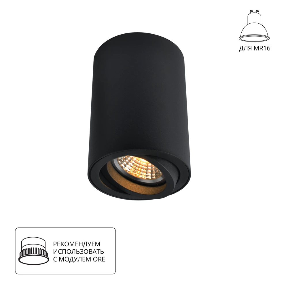 Точечный накладной светильник Arte Lamp SENTRY A1560PL-1BK