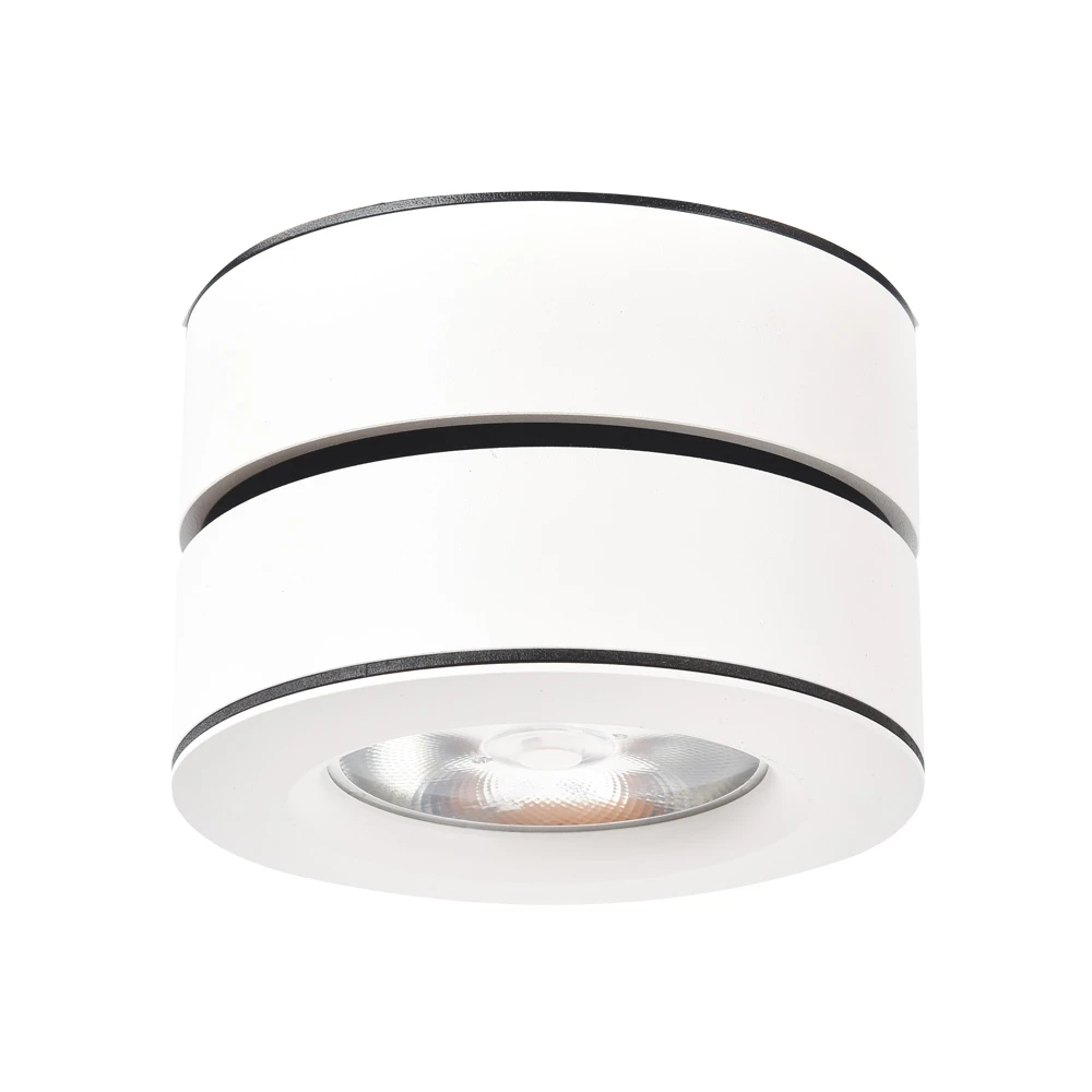 Точечный накладной светильник Arte Lamp VELA A2511PL-1WH