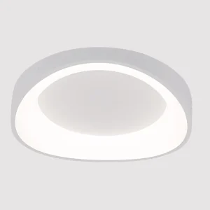Потолочный светильник Arte Lamp SUALOCIN A2698PL-48WH