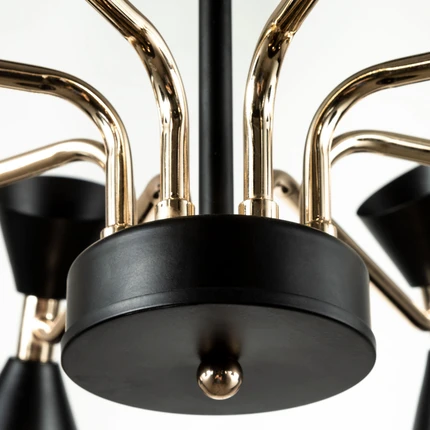 Потолочная люстра Arte Lamp WELLINGTON A2711PL-8BK