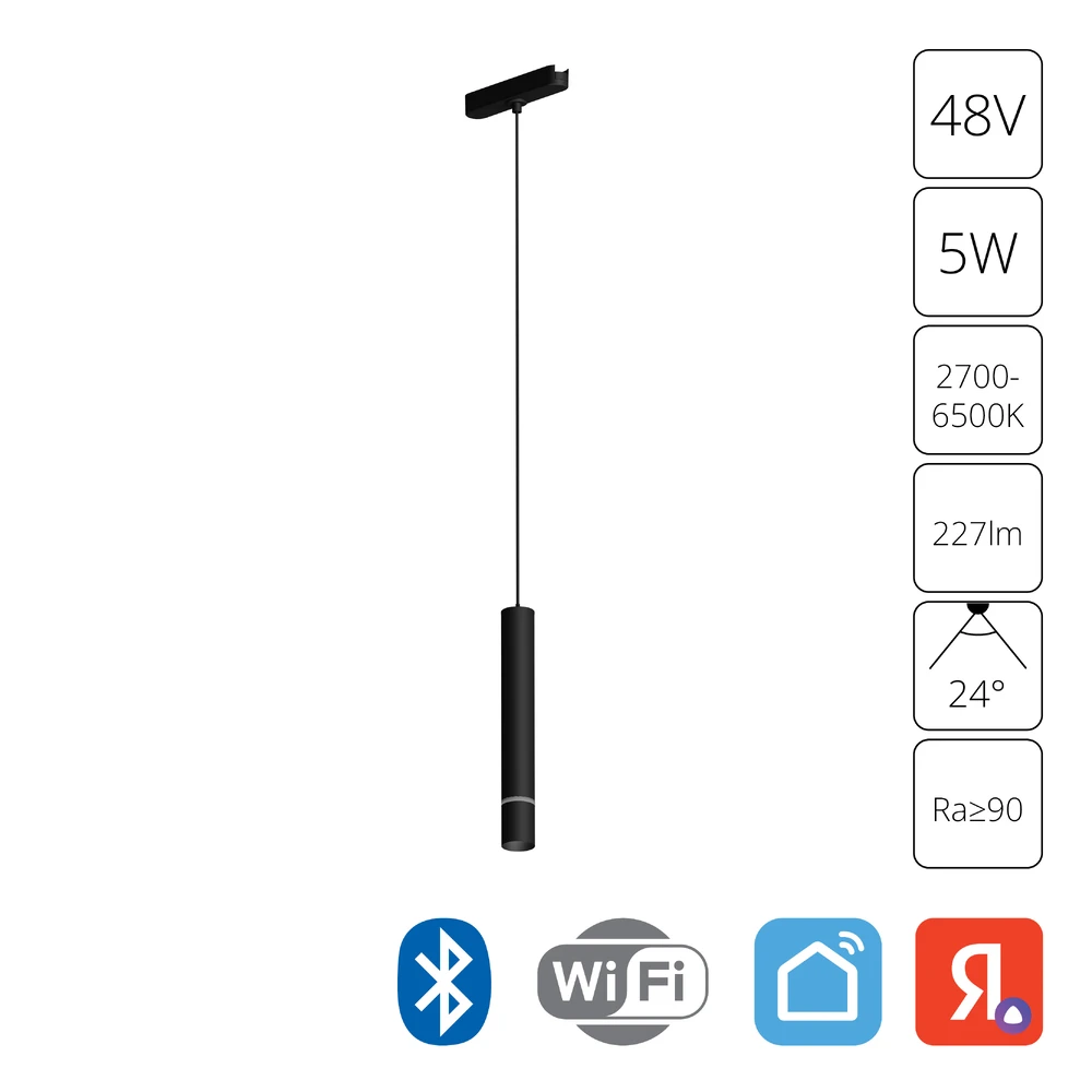 Магнитный трековый светильник Arte Lamp RAPID SMART A2959PL-1BK