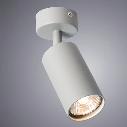 Спот Arte Lamp AQUARIUS A3216PL-1GY