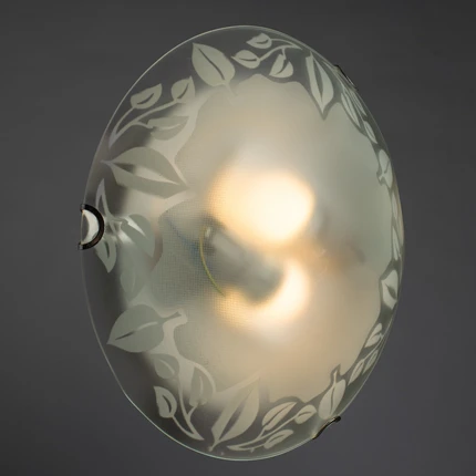 Потолочный светильник Arte Lamp LEAVES A4020PL-2CC