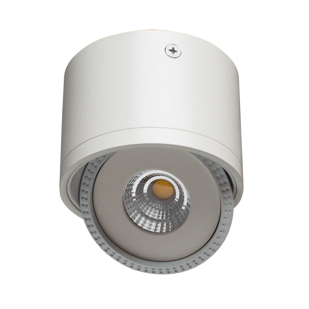 Точечный накладной светильник Arte Lamp STUDIO A4105PL-1WH