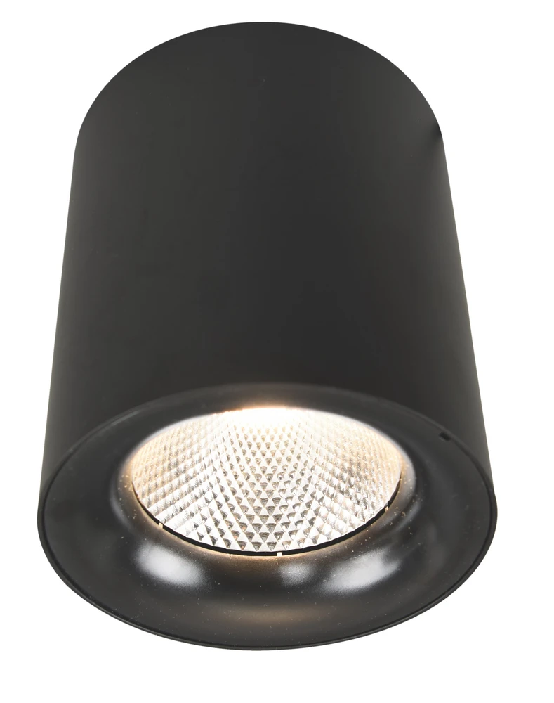 Точечный накладной светильник Arte Lamp FACILE A5118PL-1BK
