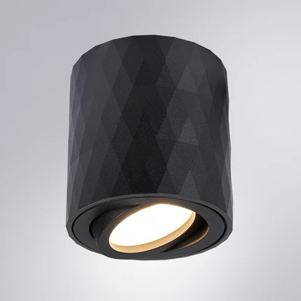 Точечный накладной светильник Arte Lamp FANG A5559PL-1BK