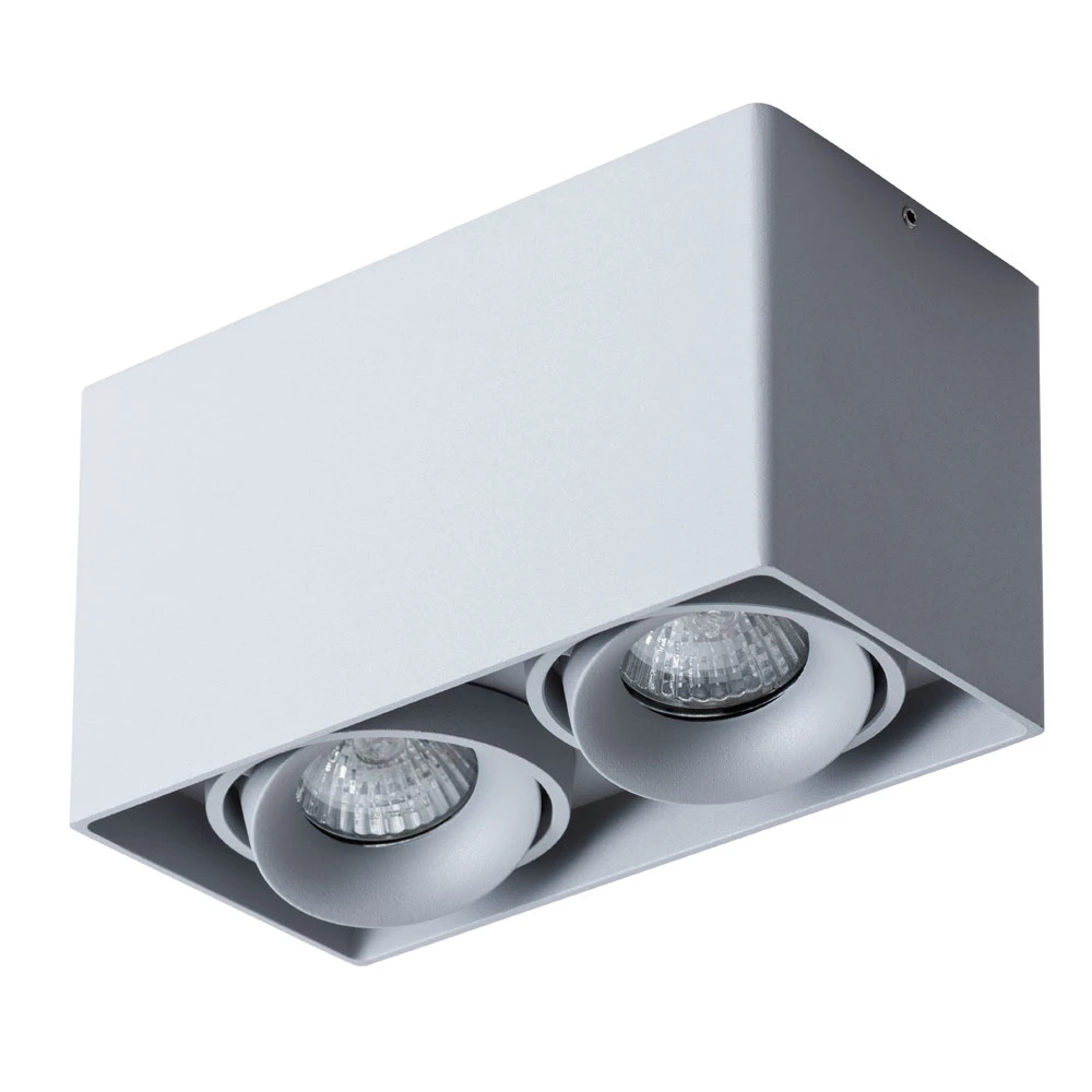 Точечный накладной светильник Arte Lamp PICTOR A5654PL-2GY