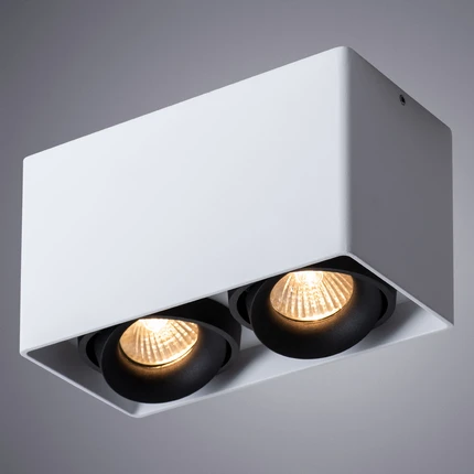 Точечный накладной светильник Arte Lamp PICTOR A5654PL-2WH