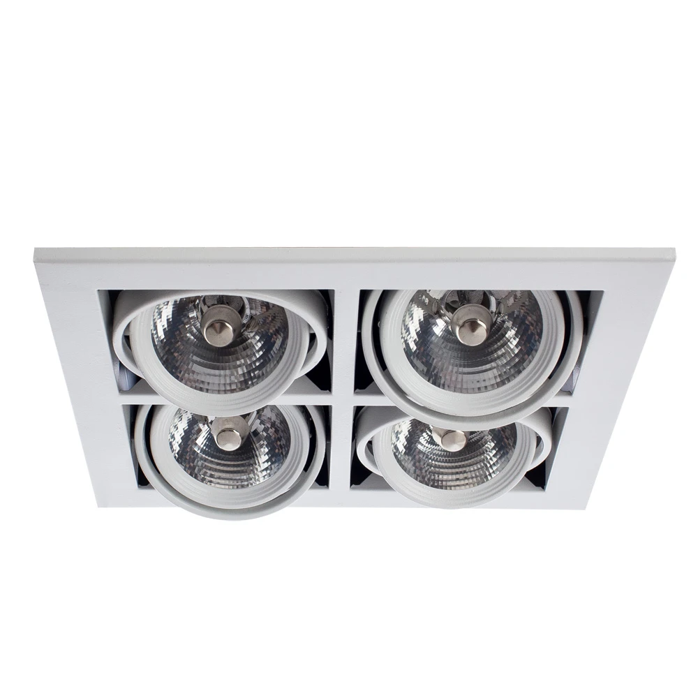 Карданный светильник Arte Lamp CARDANI MEDIO A5930PL-4WH