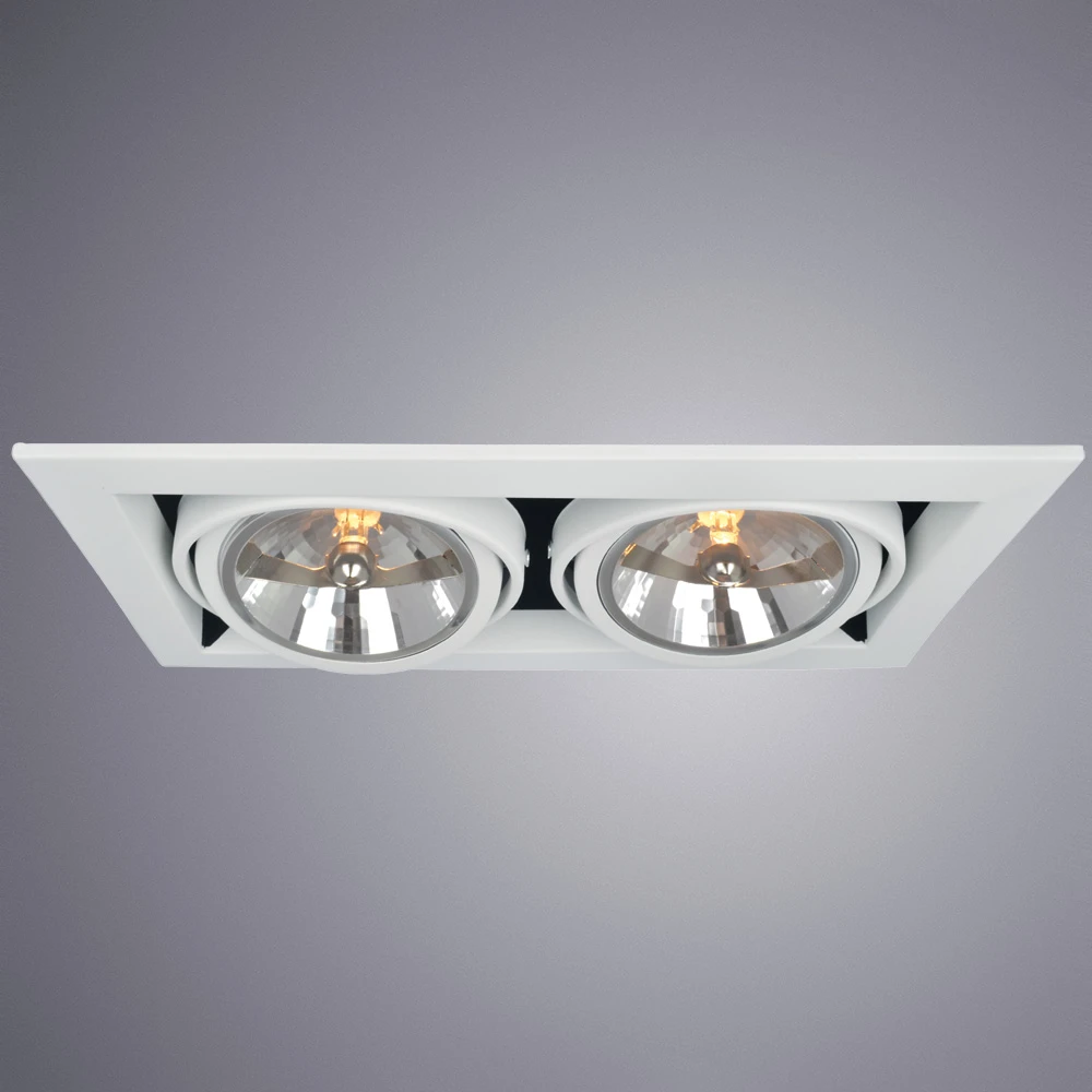 Карданный светильник Arte Lamp CARDANI GRANDE A5935PL-2WH