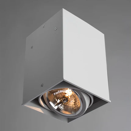 Точечный накладной светильник Arte Lamp CARDANI GRANDE A5936PL-1WH